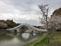 -上海海湾国家森林公园