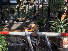 -北马山庄植趣咖啡