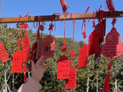 -狼山风景名胜区