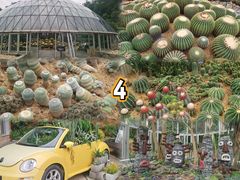 -深圳仙湖植物园