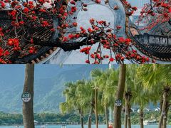 -广州市白云山风景名胜区