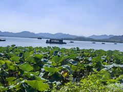 -湖畔居茶楼(湖滨店)