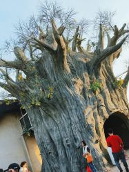 点击看大图 -宝燕乐园(闵行旗舰店)