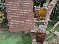-呀路古热带植物园