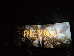 -保利国际影城(万家邻里店)