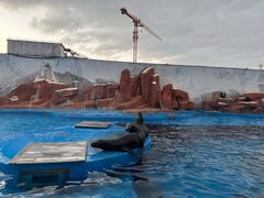 -上海海昌海洋公园