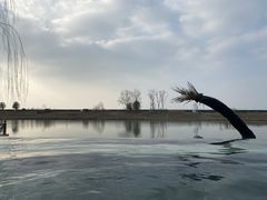 -苏州湾·王焰温泉