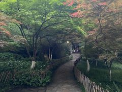 -岳麓山风景名胜区