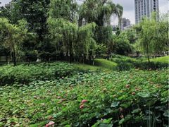 -沐仙湖湿地公园