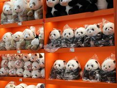 -熊猫邮局(少城店)