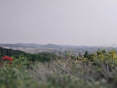 -广州市白云山风景名胜区