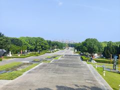 -东方绿舟景区