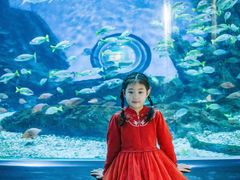 -海合安武汉极地海洋公园