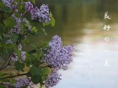 -长春市南湖公园