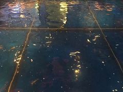 -钳真多钓虾馆·小龙虾海鲜烧烤(九六广场店)