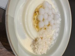 -ICEPOPO MILK(玉兰店)