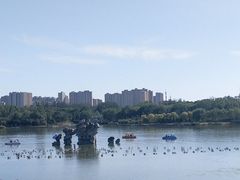 -大兴滨河森林公园