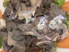 -华龙特色大骨鸡农家菜馆