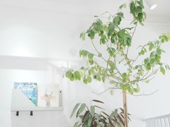 -隹木咖啡馆(宝龙广场店)