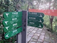 -杭州半山国家森林公园