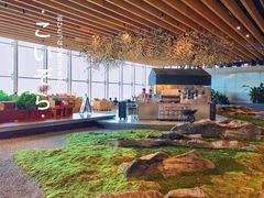 -Seesaw Coffee(朝阳大悦城店)