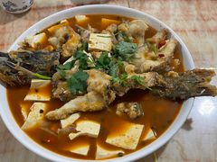-煲来饱去冷水鱼
