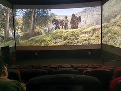 -CGV影城(黄河道ScreenX店)