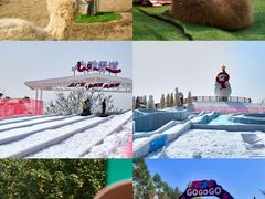-盈香心动乐园