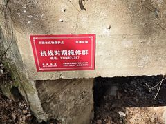 -平湖九龙山旅游度假区