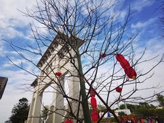 -江门古劳水乡旅游区