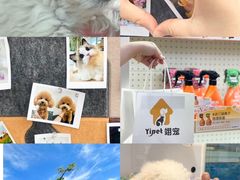 -翊宠yipet猫狗购宠庄园犬舍•猫舍