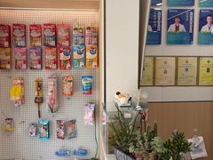 -瑞派·关忠动物医院·猫专科·犬专科(三环新城店)