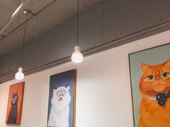 -Heymao猫咖.咖啡厅(东门店)