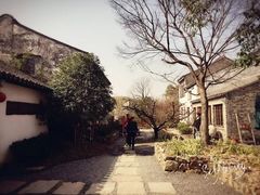 -田园东方蜜桃村的田野营地