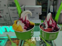 -Salud撒露欧洲冻酸奶(五道口购物中心店)