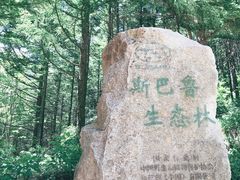 -龙峪湾国家森林公园
