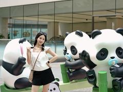 -东莞松山湖万象汇