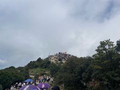 -梧桐山风景名胜区