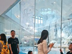 -帝企鹅自助餐厅•儿童岛•真企鹅(长隆企鹅酒店)