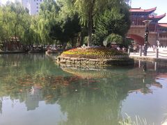 门口池溏中的锦鲤-水磨沟公园