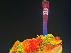 -海心沙亚运公园