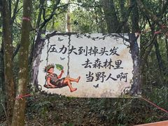 -广州白江湖森林公园