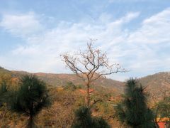 -里口山风景名胜区