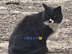 -簋街