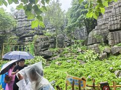 -梭布垭石林景区