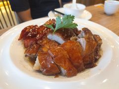-永記粤菜·五指毛桃花雕鸡煲(九亭店)