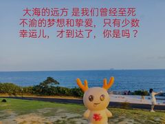 -小麦岛公园