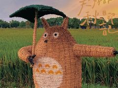 -嘉北郊野公园