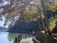 -天台山琼台仙谷景区