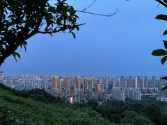 -呼吸森林·生态农庄农家乐私房菜